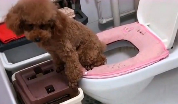 If a person cannot hold his urine, can he just go?