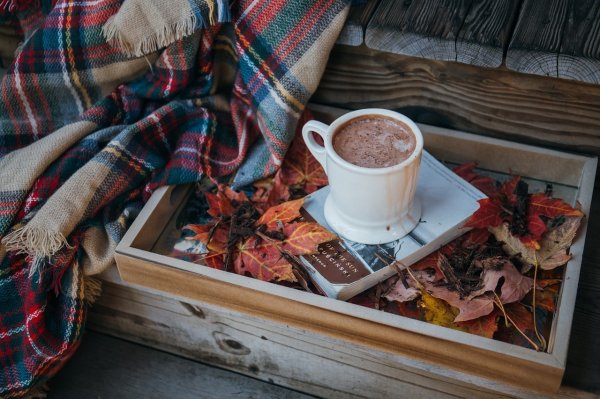 Activating the sacred cheesy of the kidney, cocoa, contains 3 major effects. Expert tutor 