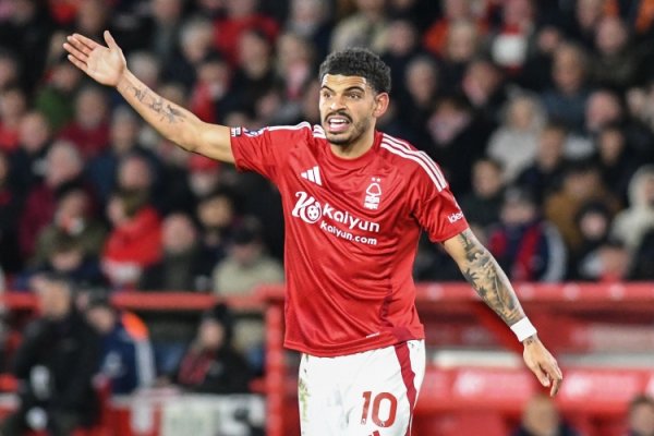 Tottenham s former player: Forest s behavior is disgusting, Gibbs White should sue + stop training