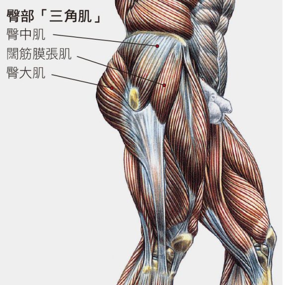 Zero-risk fitness/experts you to maintain the softness of 