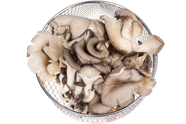 Mushroom mushrooms do not require agricultural medicine, really do not need to be washed? This is what the professor of agricultural dynasty at NTU said