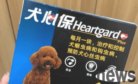 Heartworm damage is exposed, and dogs should pay great attention to deworming!