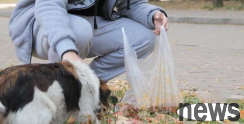 Picking up cats at the same place twice in a row, with cat bags and cat cages. It turned out that the university next door was on vacation
