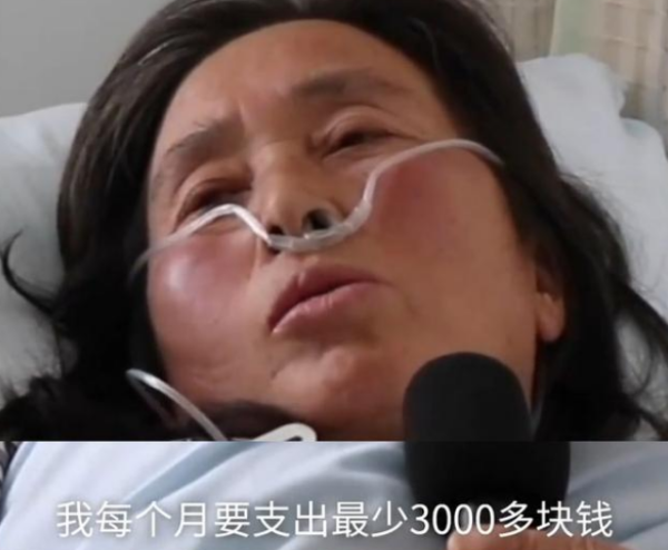 A rescuer of stray cats and dogs committed suicide by taking pills after being questioned by the Internet. Neighbor: She had rescued cats and dogs for many years.