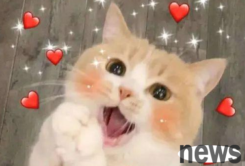 Inhumane! A resident fell to death 7 stray cats in 14 days and abducted the cats using their familiar characteristics