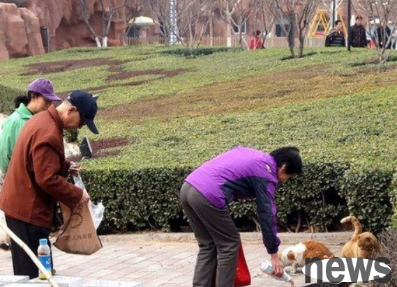 A 60-year-old aunt fell into a basement more than four meters deep while trying to feed a stray cat