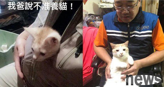 The elder who was conquered the fastest in history! From never loving cats to becoming a cat lover