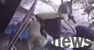 Dog abuser breaks into house and pours cold water, causing puppy to run away due to freezing