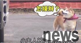 The little master was 